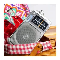 Panasonic RF-2400D radyo piknik sepetinin yanında, dışarıda kullanım